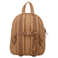 030-00638-Brown-3
